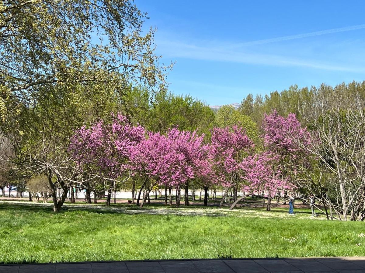 Murallas De Revelin & Laurel -Casco Antiguo- Logrono Bagian luar foto